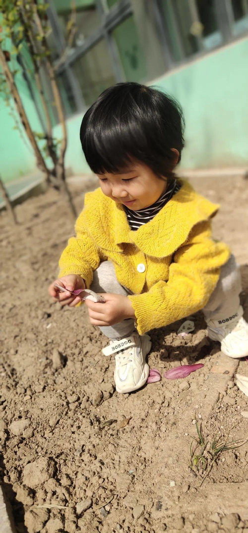 张家湾中心幼儿园 张幼处处好春景