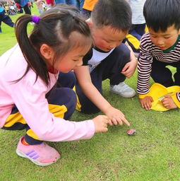 澧县食品幼儿园城头山研学实践活动
