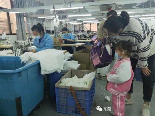 一起走进服装厂 虎门东方明珠幼儿园主题探究活动